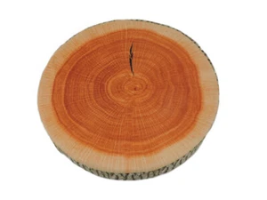Wood Log Slice Realistic Soft Velvet Foam Pillow - Picture 1 of 5