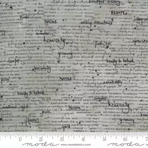 Botanicals 16913-13 Moda Fabrics Vintage Grey Notes Janet Clare - Picture 1 of 2