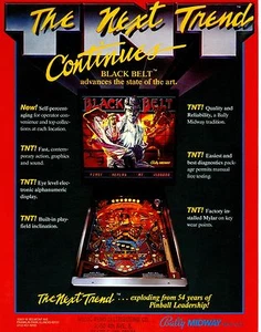 Bally Black Belt Flipper Flyer sehr guter Zustand 1986 - Bild 1 von 2