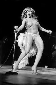 Fridge / Tool Box Magnet -  American Singer Tina Turner #123