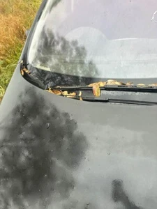 2006 Peugeot 307 T5 T6 Right Driver Wiper Arm Sedan Hatch SW 01-08 #B333 - Picture 1 of 12