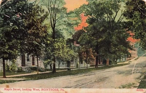 Postcard ~ Montrose, Pennsylvania, Maple Street Looking West - 1921 - Picture 1 of 2