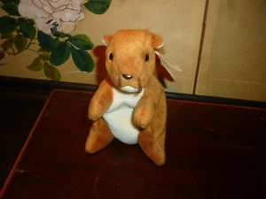 RARE Vintage TY Beanie Baby Nuts the Squirrel MIT PVC PELLETS & TAG ERROR NEU MIT ETIKETT - Bild 1 von 6