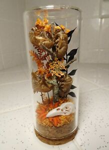Four Cicada Skins Climbing Twig Raven Skull Oddity Jar moss dried flowers autumn