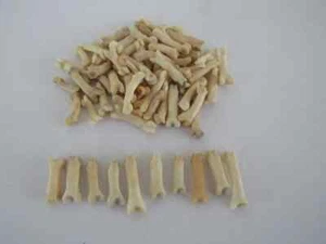 10 Bobcat Toe/Foot Bone Metatarsals Bones Craft Supplies  Bone  Animal Coyote - Picture 1 of 1