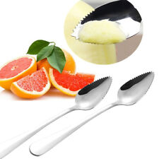  2PC Thick Stainless Steel Grapefruit Spoon Dessert Spoon Serrated Edge 