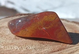 Petrified Wood Polished Rare Limb Cast Yellow Cat Utah Quartz Red Wisp Inclusion - Picture 1 of 10