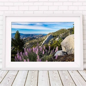 PALM SPRINGS - Mountains Picture Poster Print Sizes A5 to A0 **FREE DELIVERY** - Bild 1 von 14