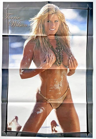 TORRIE WILSON double sided 21.5"x 32"  wrestling Poster WWE Edge Cover