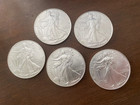 Five (5) 2023 - $1 American SILVER Eagle Coins - - Lot of 5 - 1 oz SILVER Coins