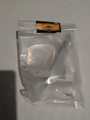 DeAgostini Harley Davidson Fatboy. Scala 1:4 .Parte H.D.008 - Immagine 1 di 3