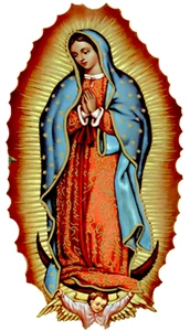 Virgen de Guadalupe Sticker/Car Decal Multiple Sizes - Picture 1 of 1