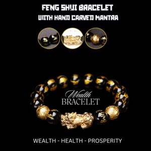 Feng Shui  Wealth Bracelet - Pixiu - Picture 1 of 2