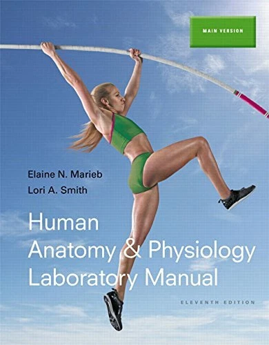 Human Anatomy and Physiology Laboratory Manual by Elaine Marieb - Image 1 of 1