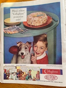 Du Pont Cellophan, ganzseitige Vintage Großformat Printanzeige - Bild 1 von 1