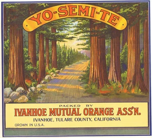 *Original* YO-SEMI-TE Yosemite National Park Orange Crate Label NOT A COPY! - Picture 1 of 1