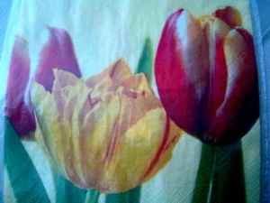 S35 SERVIETTENTECHNIK 1 Stk Serviette 4x BLUMENMOTIVE Anleitung im Text Malkunst - Bild 1 von 3