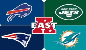 AFC East- Bills Dolphins Patriots Jets Players Blocks NFL CUSTOM MADE w/box - Picture 1 of 5