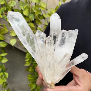 1060g A+++Large Natural clear white Crystal Himalayan quartz cluster /mineralsls - Picture 1 of 12