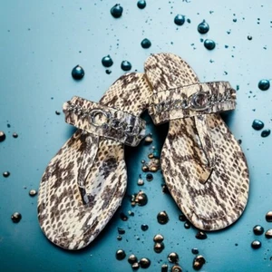 Neu ohne Karton Coach Jaclyn Python geprägtes Leder Logo Kette Zehenstegsandalen Gr. 7B/37,5 - Bild 1 von 15