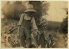 George Barbee,Tobacco Farming,Nicholas County,Kentucky,Lewis Wickes Hine,1916,2