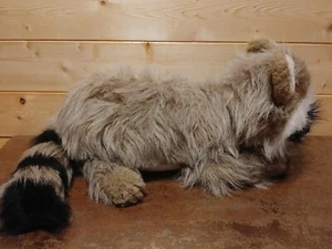 Raccoon Vintage DAKIN Plush Raisin 1981 Nature Babies Realistic Shaggy Toy 20” - Picture 1 of 12