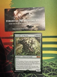 Cavalier of Thorns - The List - Picture 1 of 1