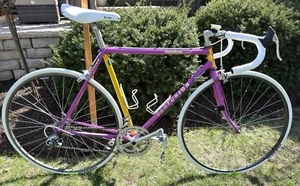 Centurion Ironman Dave Scott Triathlon Bike - Picture 1 of 12