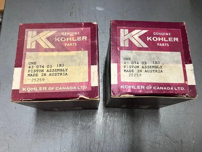 Conjunto de pistão Kohler K440 2-RS 67,50mm de 2 OEM ELKO 4307403 - RUPP MERCURY - Imagem 1 de 4