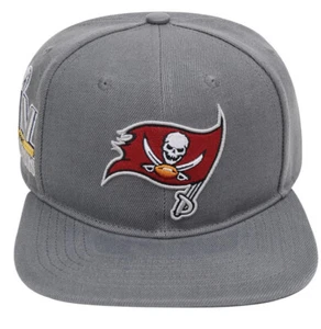 TAMPA BAY BUCCANEERS LOGO SNAPBACK HAT Gray Pro Standard Super Bowl Champions - Picture 1 of 4