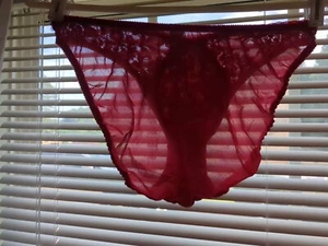 De Colección Años 80 VICTORIA’S SECRET Panty Floral ENCAJE Transparente BIKINI Rojo EE. UU. Mediano Leer - Imagen 1 de 8