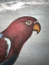 1784 Hand Colored Engraving Buffon Fine Parrot Bird Lori Lorikeet
