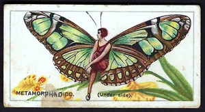 BRITISH AMERICAN (PRINTED) - BUTTERFLIES (GIRLS) - #16 METAMORPHA DIDO - Picture 1 of 2