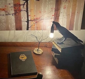 Crow Wall Lamp, Raven Table Lamp Night Light Bedroom Bedside Living Room Lamp - Picture 1 of 7