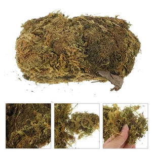 1 Bolsa de Musgo Conservado Natural Hágalo Usted Mismo Plantas en Maceta Paisaje Botella Musgo - Imagen 1 de 12