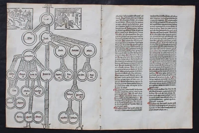 INKUNABEL,RUDIMENTUM NOVITIORUM,LUCAS BRANDIS,LÜBECK,5. 8 .1475, SELTEN - Image 1 of 4