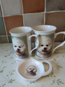 Bichon Frise Neu Tassen und Löffel Rest Lane Farm Staffordshire - Bild 1 von 7