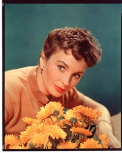 JEAN SIMMONS Original Vintage 1954 8x10 Fox Studio Color Transparency Portrait - Picture 1 of 1