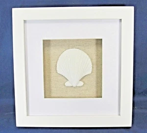 Sea Shell  Shadow Box Decorative Collectibles Home Decor - Picture 1 of 2