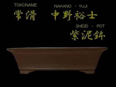 Japanese Bonsai pot TOKONAME SHIDEI Unglazed Rectangular shape Extra large W44cm - Image 1 of 4