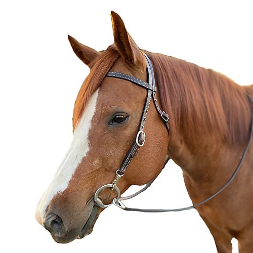 Кожаный наголовник Tory Tory Dark Harness с защелками - Изображение 1 из 1