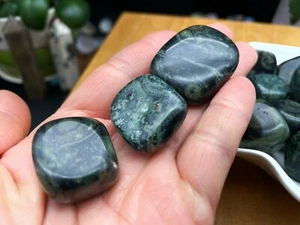 Kambara Jasper Tumbled Stones Tumbled Stone Stromatolite Algae Fossil E022902 - Picture 1 of 6