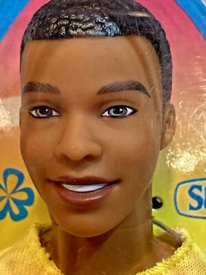 Barbie Beach Party Steven muñeca negra afroamericana Mattel 2008 -NRFB nueva ☀️ Foto 1 de 4