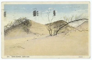 Sanddünen von Cape Cod Massachusetts Vintage 20er Jahre Postkarte - Bild 1 von 2