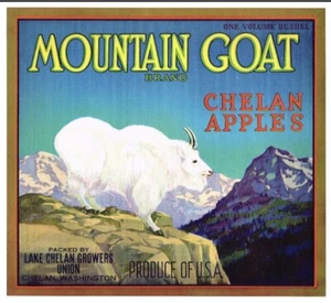 MOUNTAIN GOAT Vintage Orange Crate Label Art Deco *ORIGINAL LABEL 192O-1930s - Picture 1 of 1