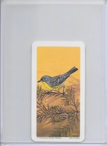 1970 Kirtland's Warbler National Wildlife In Danger Federation Card 29 Series 13 - Picture 1 of 2