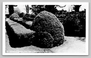 RPPC James Monroe's Boxwood Garden Ash Lawn Virginia VA Real Photo Unused - Picture 1 of 3