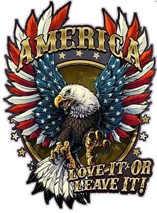 America Love It Or Leave It Iron On Transfer-T-Shirt + Light & Dark Fabrics #3 - Picture 1 of 4