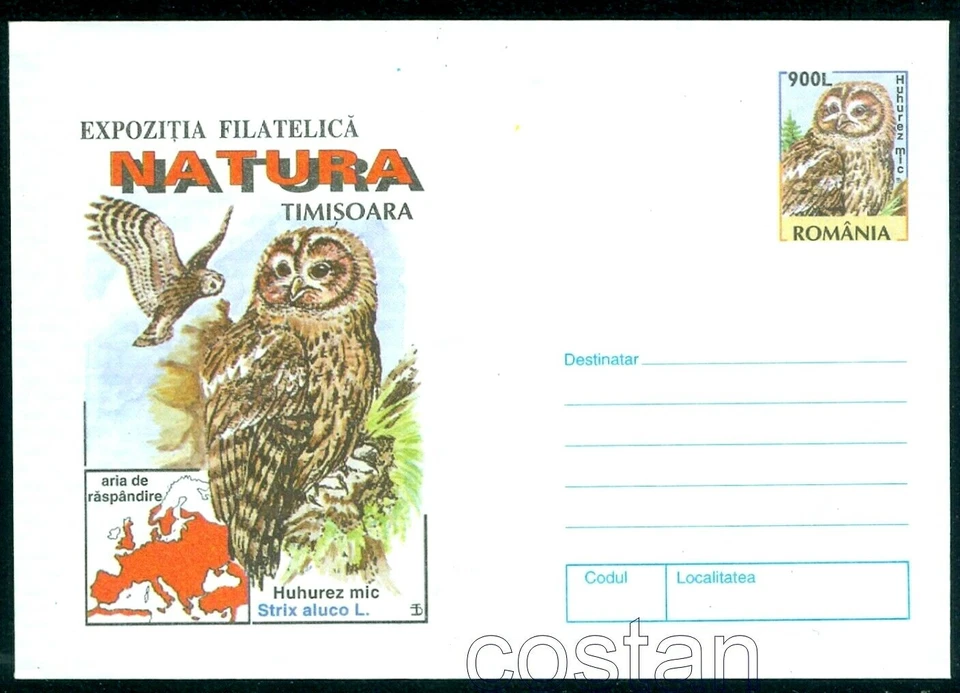 Búho marrón 1998/Strix aluco, búho, Chouette, Civetta, pájaros, Oiseau, Rumania, cubierta Foto 1 de 1