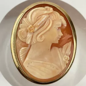 Vintage 9ct Yellow Gold Portrait Cameo Brooch 4cm x 3.3cm - Picture 1 of 8